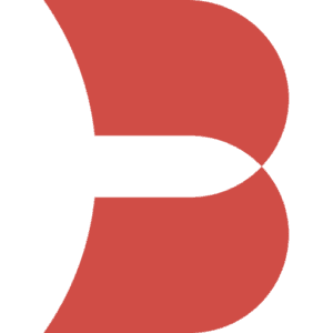 Brandt Information Services logo
