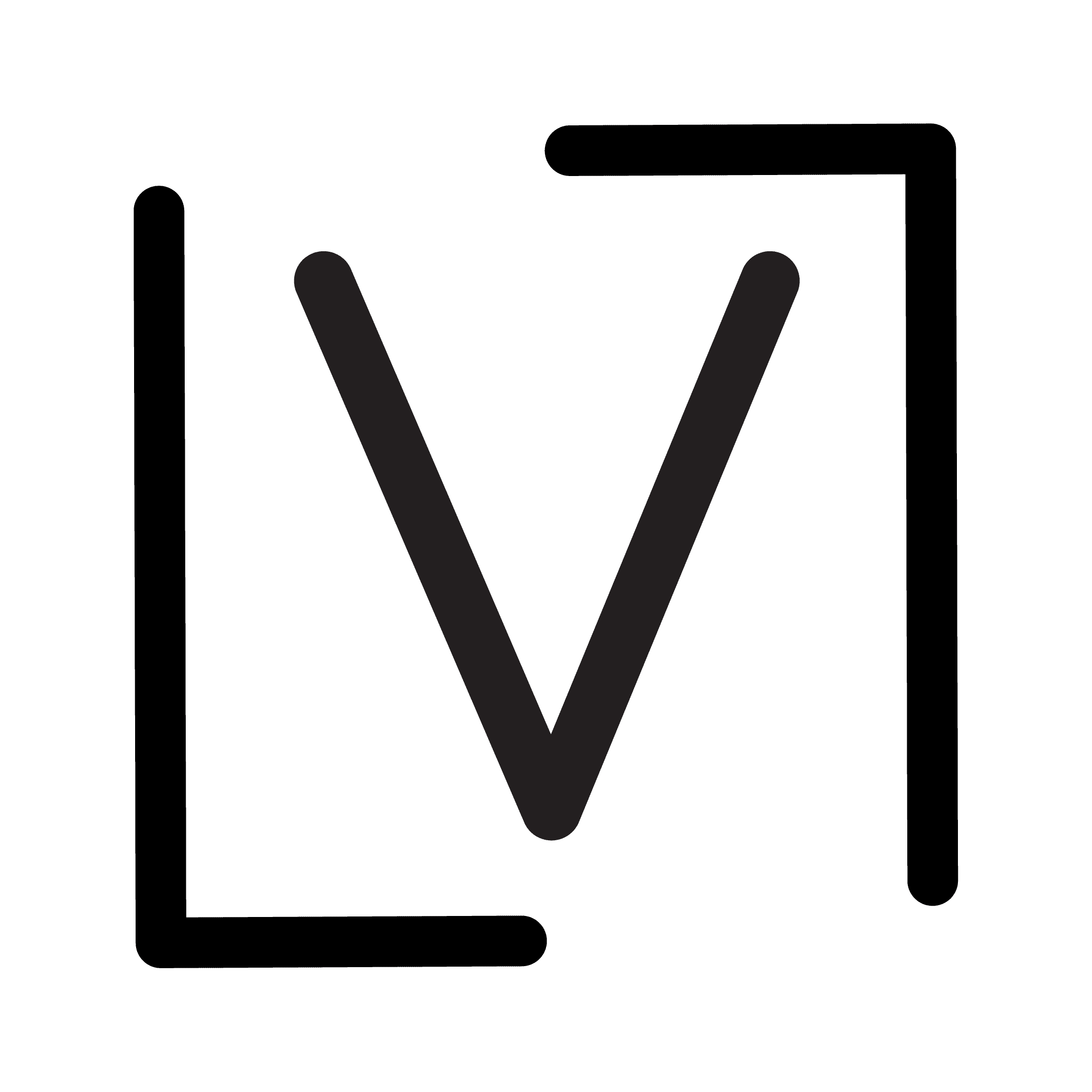 LEVELOCITI logo